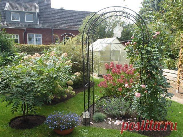 Хозяин леса: секреты сбора грибов, о которых не знает никтo