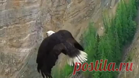 VID-20230301-WA0005.mp4