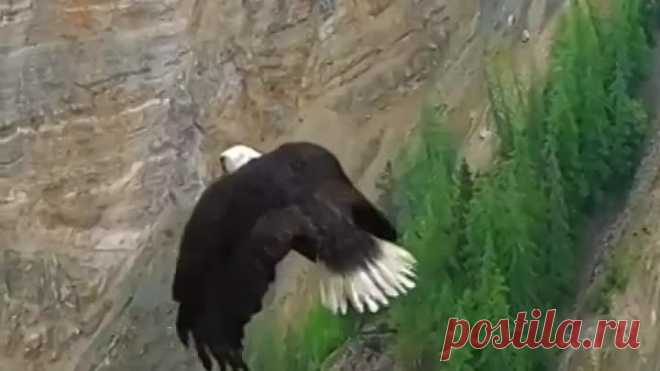 VID-20230301-WA0005.mp4