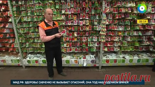 Огород на подоконнике как дома вырастить рукколу и ананас