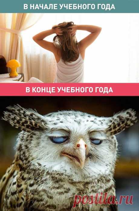 Родители в начале учебного года и в конце