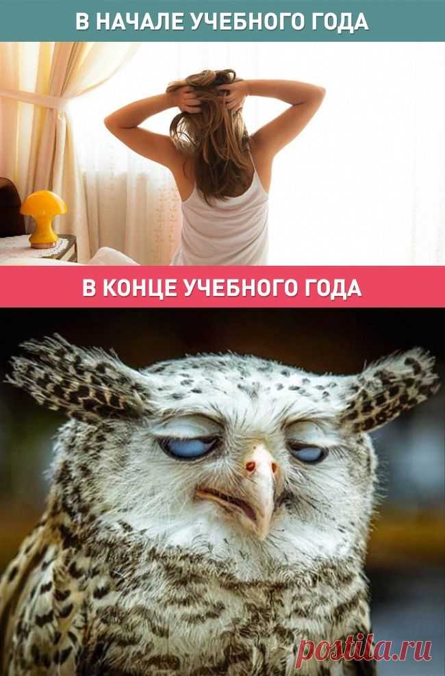 Родители в начале учебного года и в конце