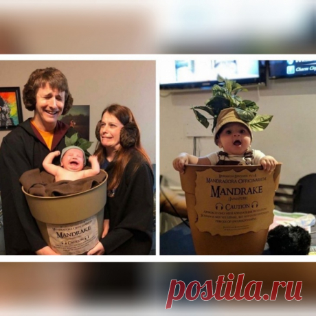 Карнавальный костюм для малыша мандрагоры