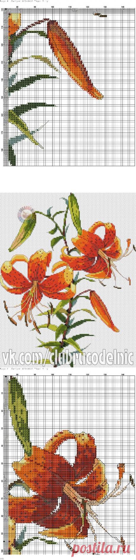 цитата valia_by : ВЫШИВКА - ТИГРОВАЯ ЛИЛИЯ (08:12 19-11-2015) [4426181/377193751] - nimfa58@mail.ru - Почта Mail.Ru