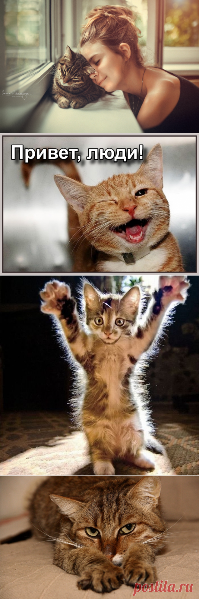 Падая, вставай на лапы🐱... котейный пост))