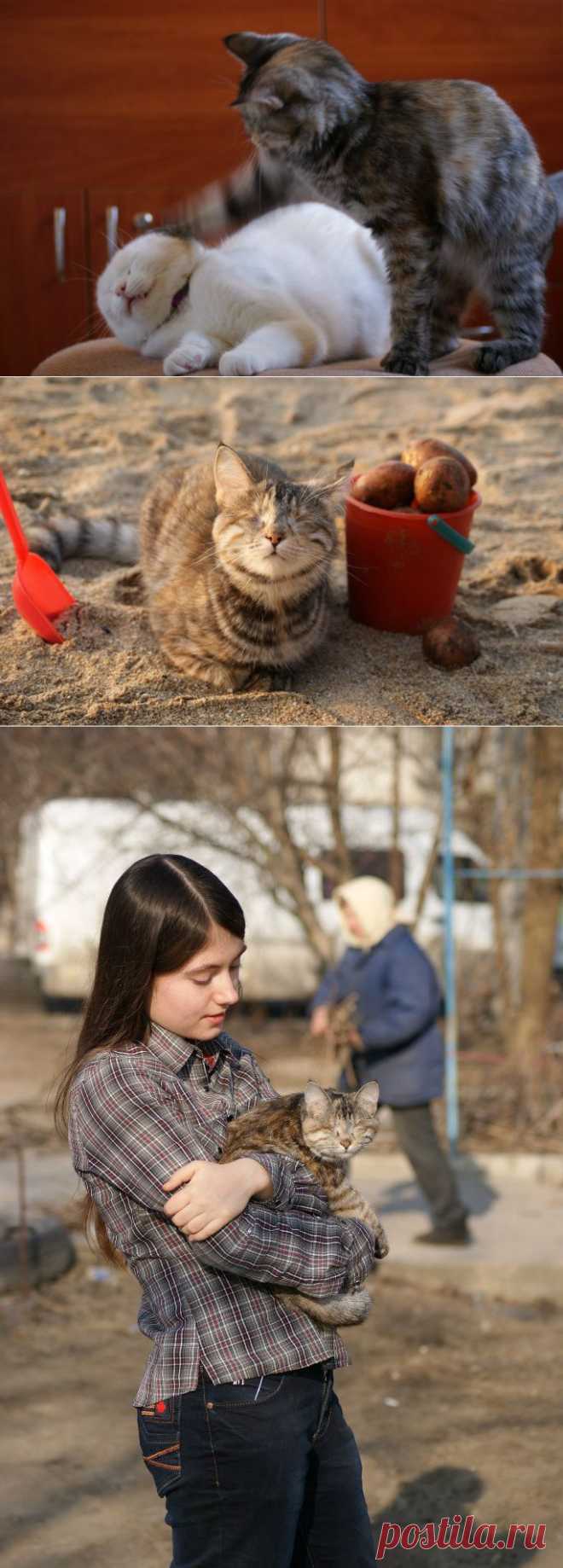Знакомьтесь, это Вита | Дай лапку