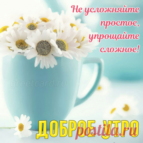 С добрым утром, с новым днем!
Пусть не будет грусти в нем.
Пусть он радостью сияет
В сердце ласковом твоём.