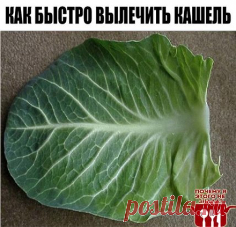 КАК БЫСТРО ВЫЛЕЧИТЬ КАШЕЛЬ
Обязательно сохраните к себе на стену, чтобы не потерять!
Если кого-то из членов моей семьи начинает донимать кашель, никогда не покупаю в аптеке лекарства, а лечу так.
Беру капустный лист, опускаю его на 1-2 минуты в кипящую воду, затем намазываю медом и накладываю на грудь (при сильном кашле - два капустных листа, один на грудь, второй - на спину).
Облегающая футболка хорошо держит лист всю ночь. А наутро от него почти ничего не остается. Вмест...