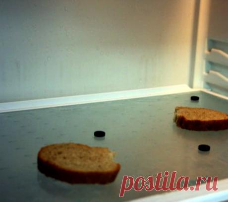 14 необычных способов применения активированного угля, о которых стоит знать каждому