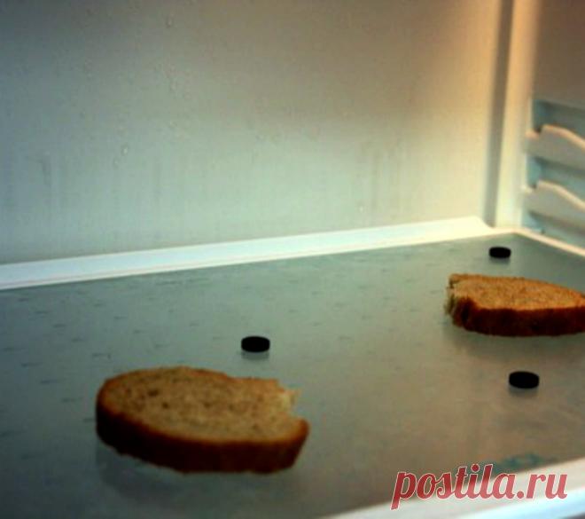 14 необычных способов применения активированного угля, о которых стоит знать каждому