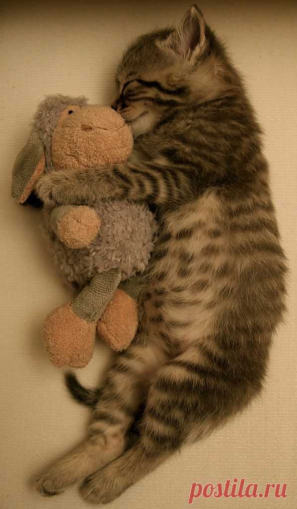 sleeping beauty | Flickr - Photo Sharing!