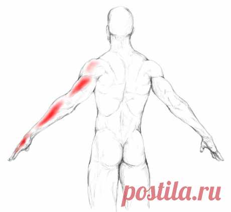 Болит Клювовидно плечевая мышца Статья автора «Йога для начинающих для здоровья» в Дзене ✍:    Клювовидно-плечевая мышца — это длинная мышца на передней части плеча, которая соединяет лопатку с плечевой костью.
