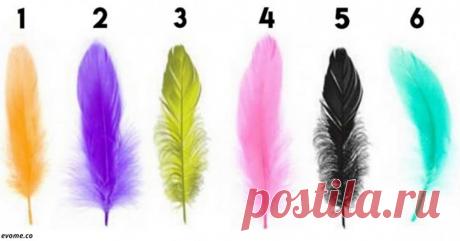 Выберите перо (психологический тест) | Болтай