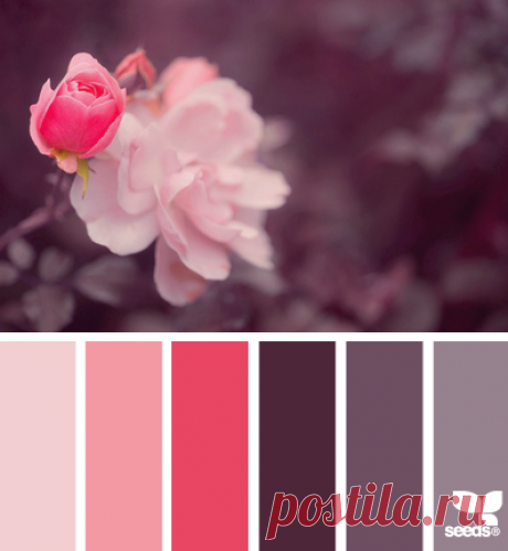 Цветы, деревья — источник вдохновения! | BepHuK собирает друзей