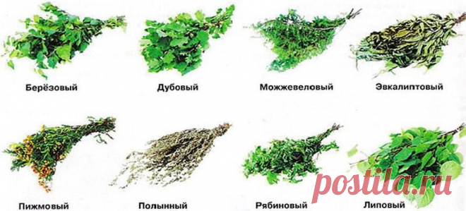 Хороша банька, да с венечком! | Советы Народной Мудрости