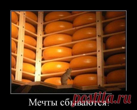 Такие вот демотиваторы...