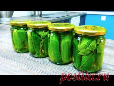 Самые вкусные маринованные огурцы в банках без стерилизации на зиму. Весь секрет в листьях смородины