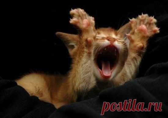 Мой Мир@Mail.Ru