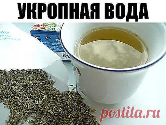 2 стакана этого питья в день помогут похудеть и снизить сахар в крови! Только семена и кипяток.
Все знают, что младенцам назначают укропную воду для профилактики проблем с желудком и кишечником. Но, оказывается, укропная вода для взрослых не менее полезна!
Это чудодейственное питье поможет похудеть и снизить сахар в крови. Укропную воду можно считать отличной профилактикой диабета! Рекомендуется принимать этот напиток регулярно при сердечной недостаточности, циррозе печени и вздутии живота.Подум