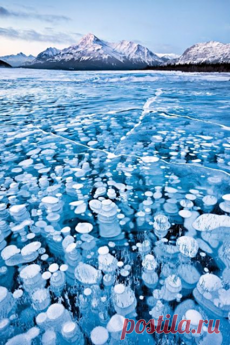 Google+