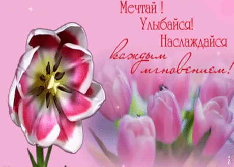 Наслаждайся каждым мгновением