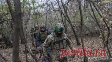 Пленный: ВСУ не признают погибших для занижения статистики и хищения средств. Украинское командование скрывает данные о попавших в плен и погибших украинских военнослужащих, чтобы занизить официальную статистику потерь и присваивать выделенные средства. Читать далее