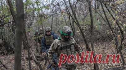 Пленный: ВСУ не признают погибших для занижения статистики и хищения средств. Украинское командование скрывает данные о попавших в плен и погибших украинских военнослужащих, чтобы занизить официальную статистику потерь и присваивать выделенные средства. Читать далее