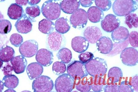 Всю историю вирусных инфекций человека научились видеть по одной капле крови