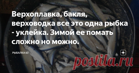 Верхоплавка, бакля, верховодка все это одна рыбка - уклейка. Зимой ее помать сложно но можно. Верхоплавка, бакля, верховодка — это другие названия уклейки, мелкой, но прожорливой пресноводной рыбьи, чья популяции даже превосходит плотвиное семейство. Уклейки обитают в реках (как больших, так и малых), озерах, плесах, омутах, но не любят водоемы с бурным течением. Жор этой рыбы начинается с появлением на берегу мух. Ловят верхоплавку на маленькие катышки белого хлеба, кусочек дождевого