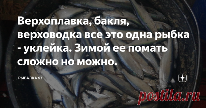 Верхоплавка, бакля, верховодка все это одна рыбка - уклейка. Зимой ее помать сложно но можно. Верхоплавка, бакля, верховодка — это другие названия уклейки, мелкой, но прожорливой пресноводной рыбьи, чья популяции даже превосходит плотвиное семейство. Уклейки обитают в реках (как больших, так и малых), озерах, плесах, омутах, но не любят водоемы с бурным течением. Жор этой рыбы начинается с появлением на берегу мух. Ловят верхоплавку на маленькие катышки белого хлеба, кусочек дождевого