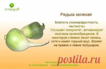 Редька зеленая