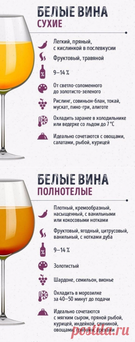 Шпаргалки для тех, кто любит вино — Кулинарная книга - рецепты с фото