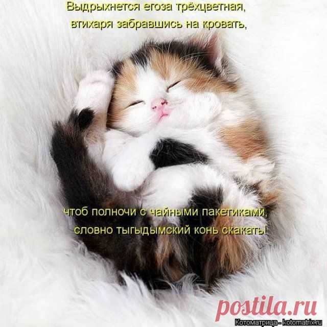 какой милый клубочек- не правда ли???