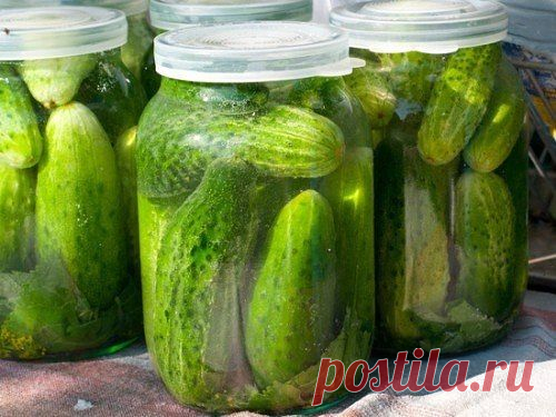 (50) консервация