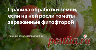 Правила обработки земли, если на ней росли томаты зараженные фитофторой Коварство заболевания фитофтороз – знакомо многим огородникам. Оно способно уничтожить практически весь урожай,
Что делать если вы заметили, кусты томатов, пораженные фитофторой. Как не допустить развитие заболевания на следующий сезон? На эти волнующие вопросы и ответит данная публикация.
1. Если вы заметили хотя-бы один куст томатов. Пораженных фитофторозом, то санитарную обработку необходимо пр
