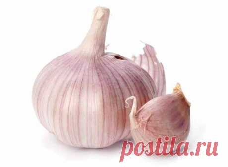 11 лучших продуктов для чистки организма / Будьте здоровы