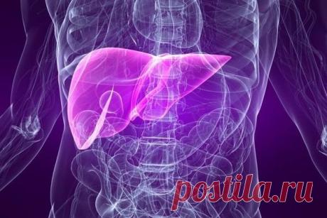 Как защитить печень: что можно есть и чего нельзя