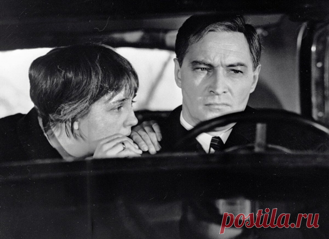 25 крылатых фраз из любимых фильмов - 3. | Ирина Стефашина | Яндекс Дзен