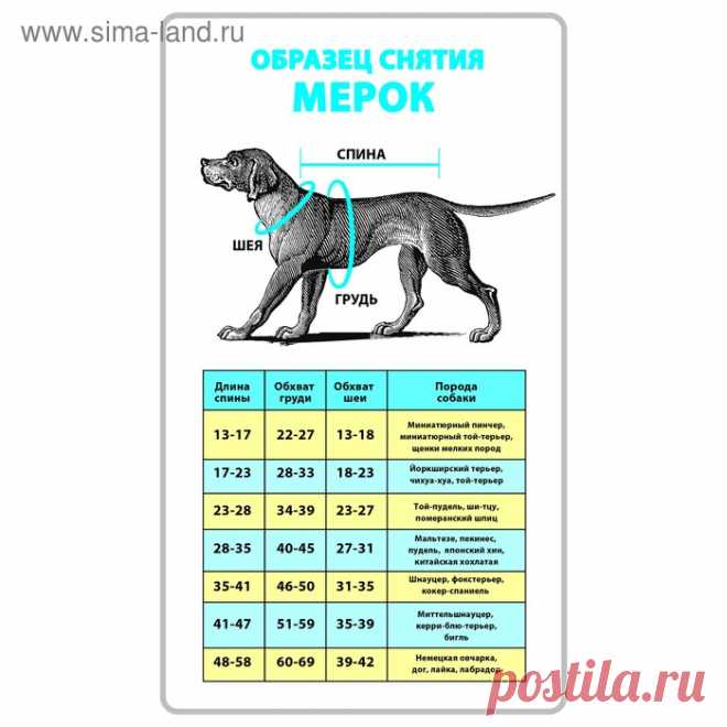 Свитер XL 
