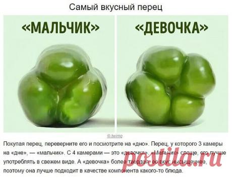 Интересные новости