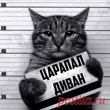 Такой милый хулиган.ИДЕИ | ВКонтакте