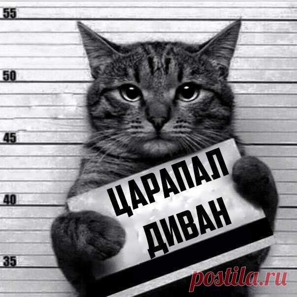 Такой милый хулиган.ИДЕИ | ВКонтакте