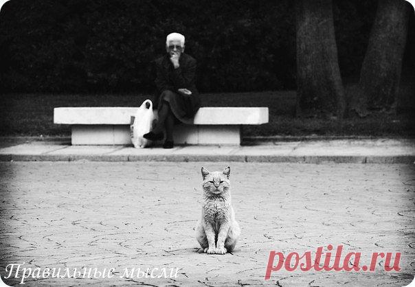 5 истинных зак / Восприятие бизнеса