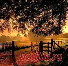 ``Country Mornings
