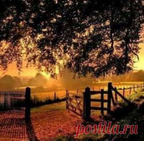 ``Country Mornings