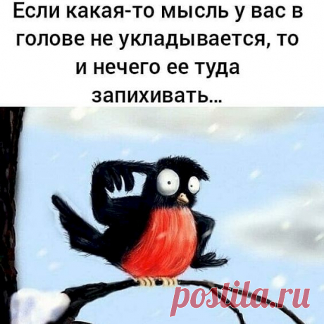 Выпуск №3289 - выпуск анекдотов сайта вокруг смеха