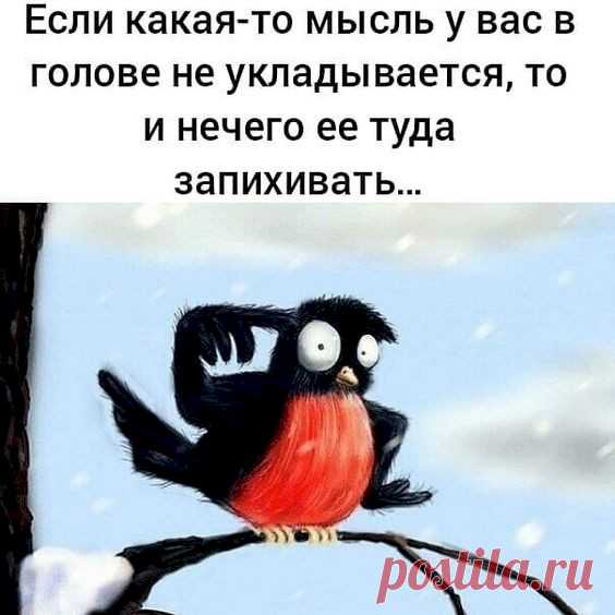 Выпуск №3289 - выпуск анекдотов сайта вокруг смеха