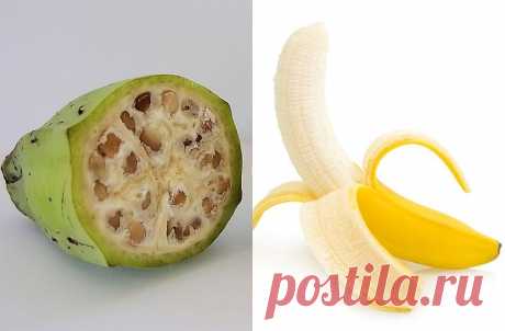 Продукты, мутациям которых мы только рады