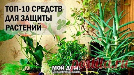 ПОЛЕЗНЫЕ СОВЕТЫ | Записи в рубрике ПОЛЕЗНЫЕ СОВЕТЫ | Дневник NADIABI