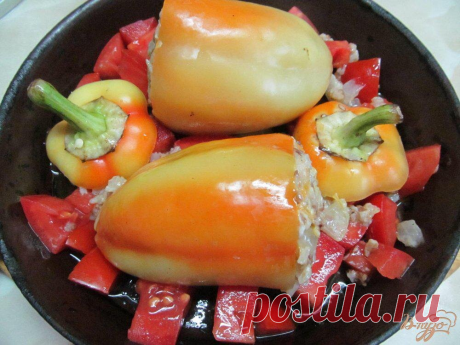 7 лучших рецептов недели от практиков Системы осознанной жизни: яичные блинчики, заливной пирог с курицей, морковно-яблочная запеканка | Nice&Easy | Дзен